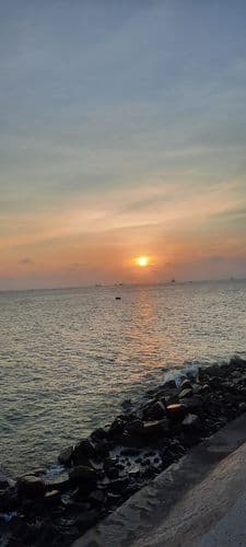 Ảnh 3 của Bãi Trước Vũng Tàu