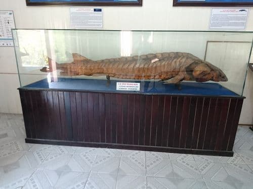 Ảnh 3 của Museum of Oceanography