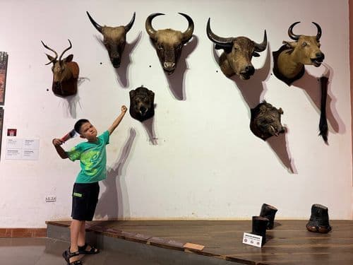 Ảnh 3 của Dak Lak Museum