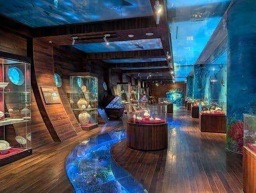 Ảnh 5 của Ba Ria – Vung Tau Museum