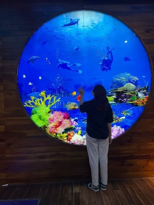 Ảnh nổi bật của Ba Ria – Vung Tau Museum