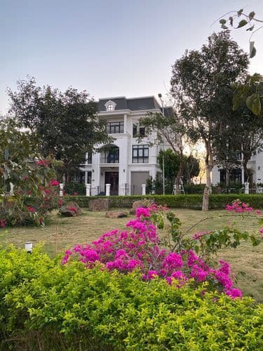 Ảnh 5 của Công viên Eco City