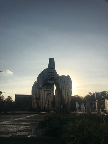 Ảnh 2 của Công viên Eco City