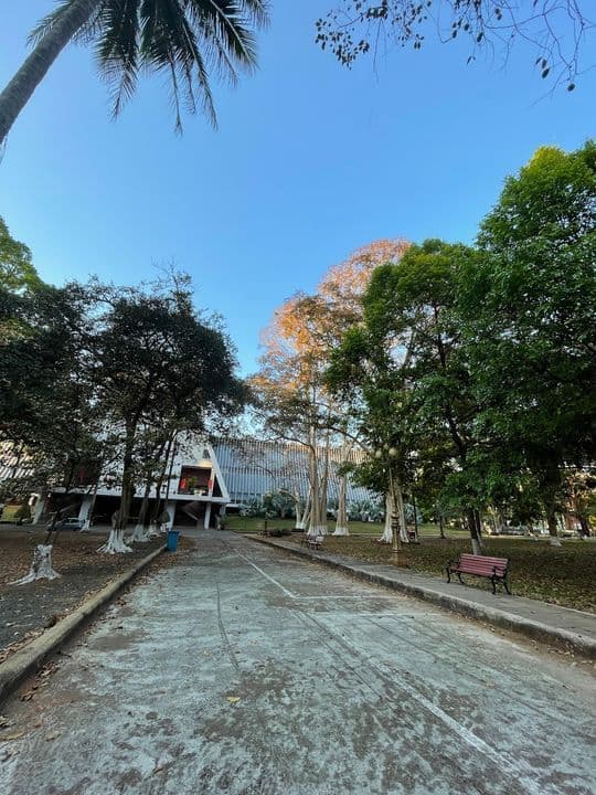 Ảnh nổi bật của Dak Lak Museum