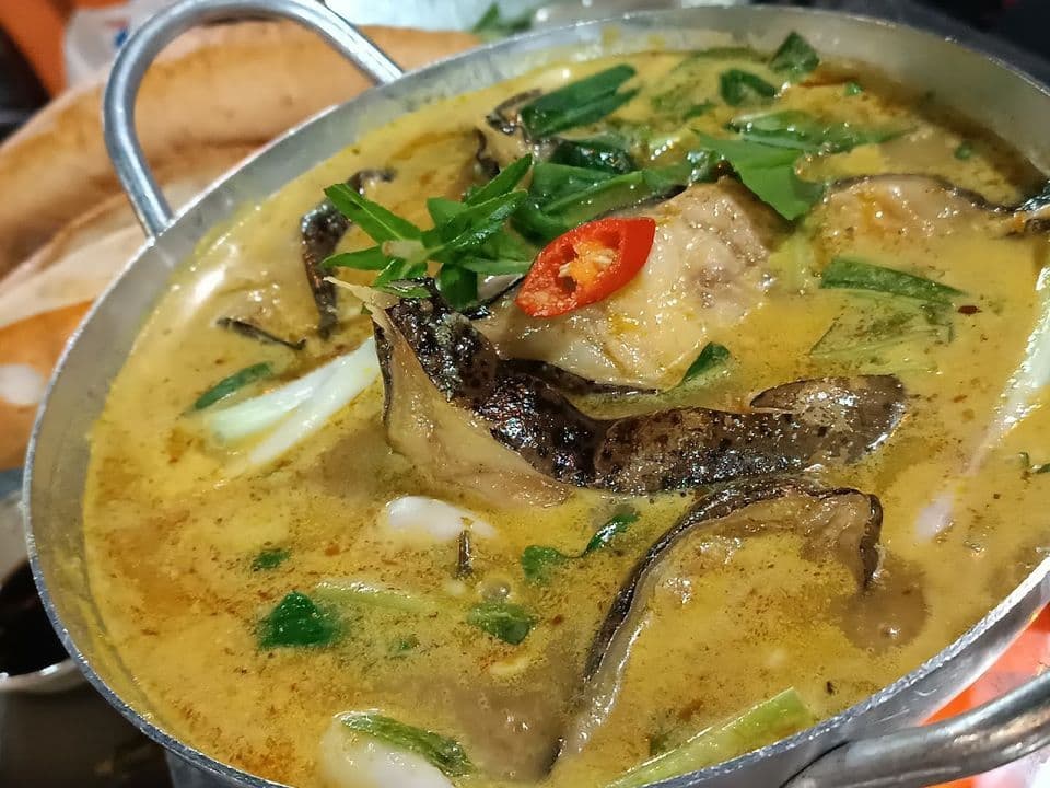 Ảnh nổi bật của Cá nóc Nhím Tiến Phát
