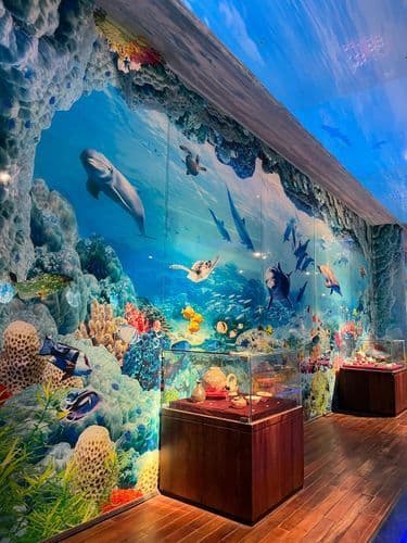 Ảnh 4 của Ba Ria – Vung Tau Museum